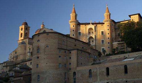 https://www.artaroundyou.it/it/lista-musei/484835-palazzo-ducale/